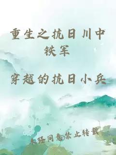 重生之抗日川中铁军