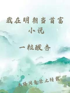 我在明朝当首富 小说