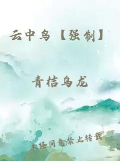 云中鸟【强制】