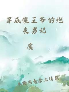穿成傻王爷的炮灰男妃