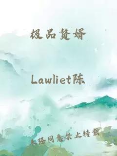 极品赘婿