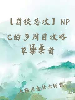 【崩铁总攻】NPC的多周目攻略记录