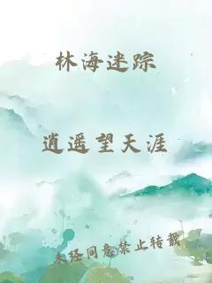 林海迷踪