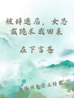 被辞退后，女总裁跪求我回来