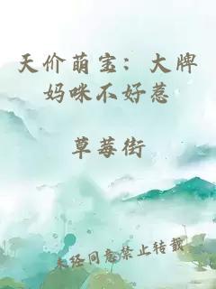 天价萌宝：大牌妈咪不好惹