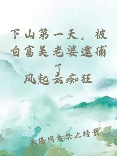 下山第一天，被白富美老婆逮捕了