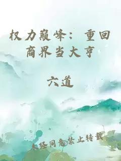 权力巅峰：重回商界当大亨